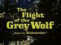 s22e16 — The Flight of the Grey Wolf (1)