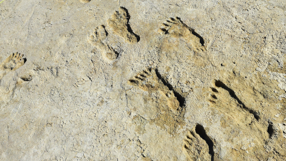 s49e14 — Ice Age Footprints