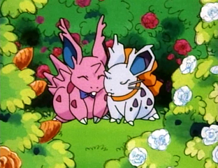 s02e20 — Nidoran's Love Story