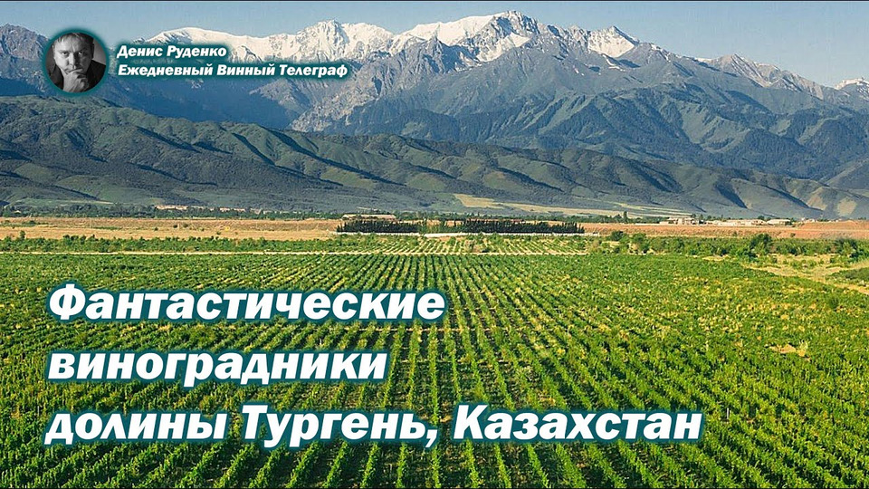 s07e03 — Фантастические виноградники долины Тургень, Казахстан