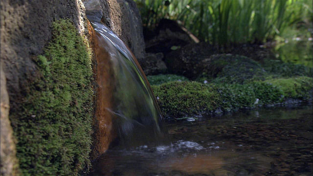 s2017e17 — Urban Oasis: Return to the Springs of Tokyo