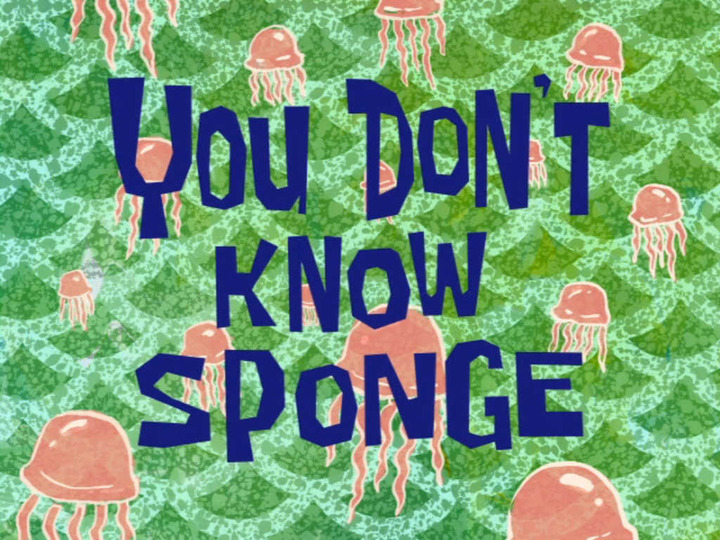 s07e43 — You Don't Know Sponge