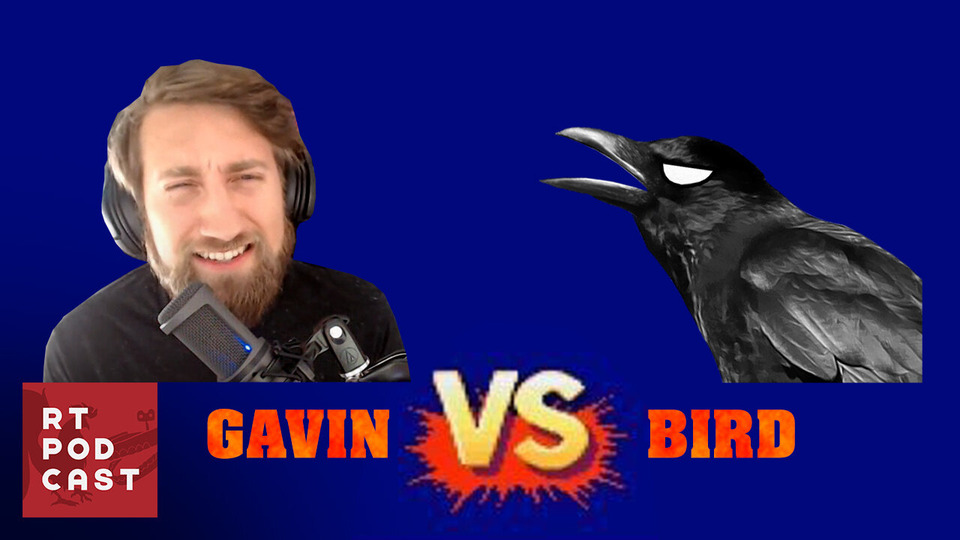 s2020e16 — Gavin vs The Bird - #593