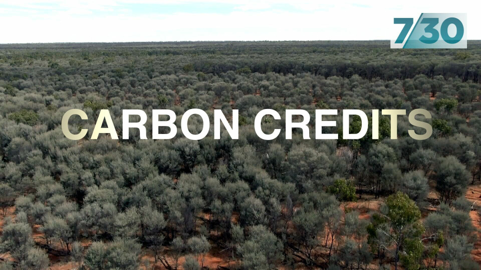 s2023e125 — Carbon Credits