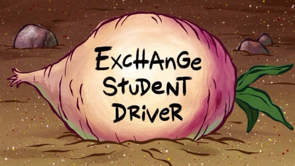 Exchange Student Driver