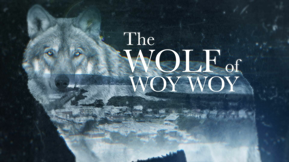 s2022e29 — The Wolf of Woy Woy