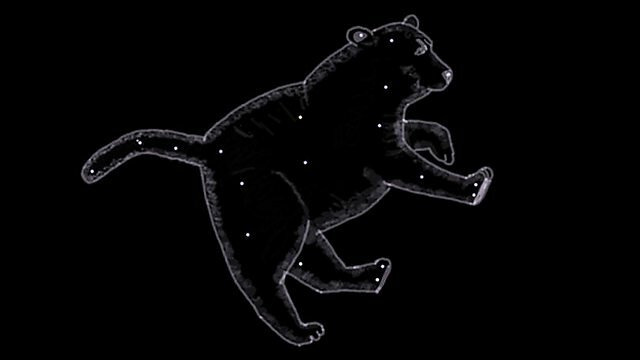 s2010e12 — The Great Bear