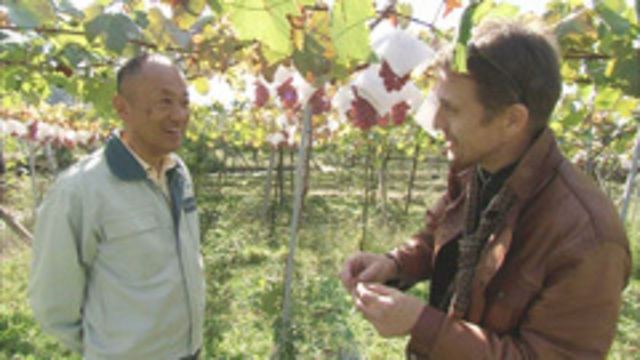 s2012e41 — Japan's Wine Country: Katsunuma