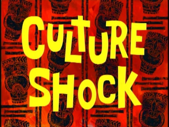 s01e20 — Culture Shock