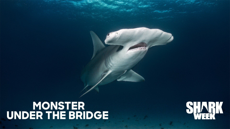 s2020e10 — Monster Under the Bridge