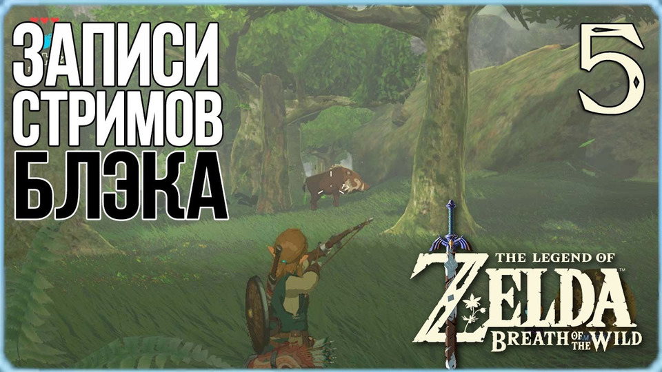 s2017e18 — The Legend of Zelda: Breath of the Wild #5