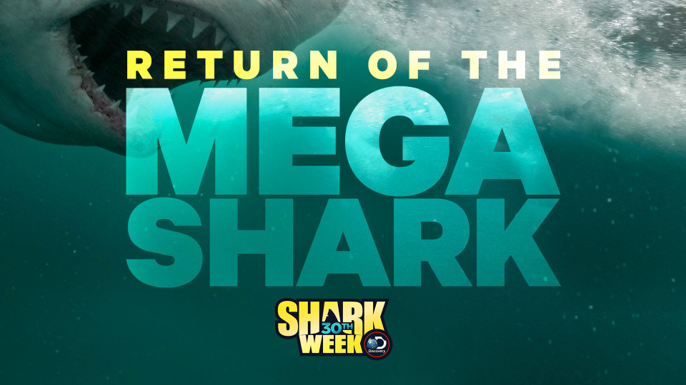 s2018e21 — Return of the Mega Shark