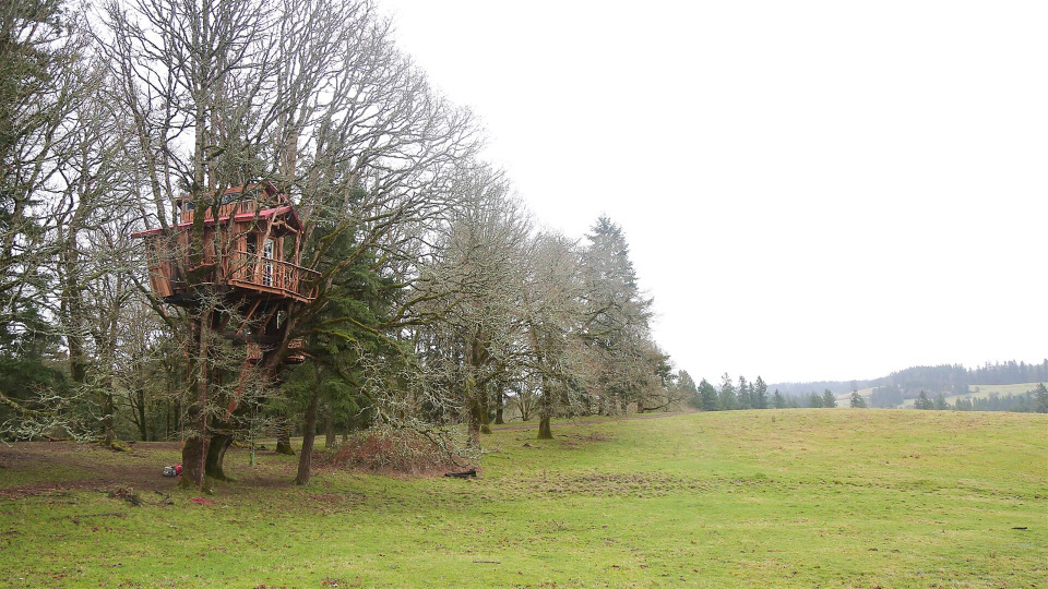 s01e03 — Tree Climber Gets a Treehouse