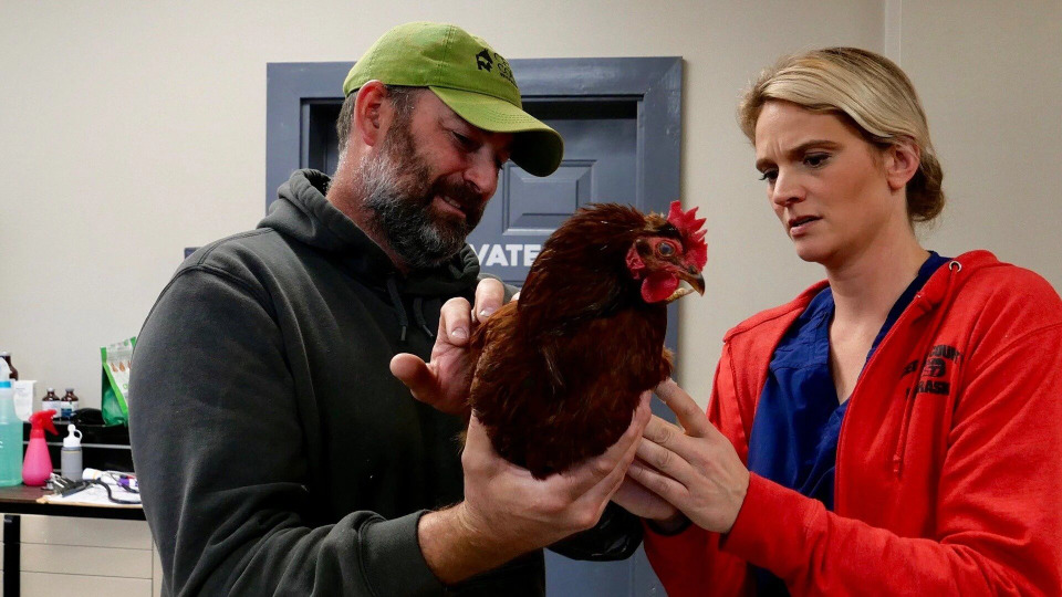 s03e07 — Poultry in Motion