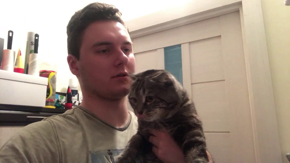 s01 special-0 — Озвучка видео с котом и соседодрелью