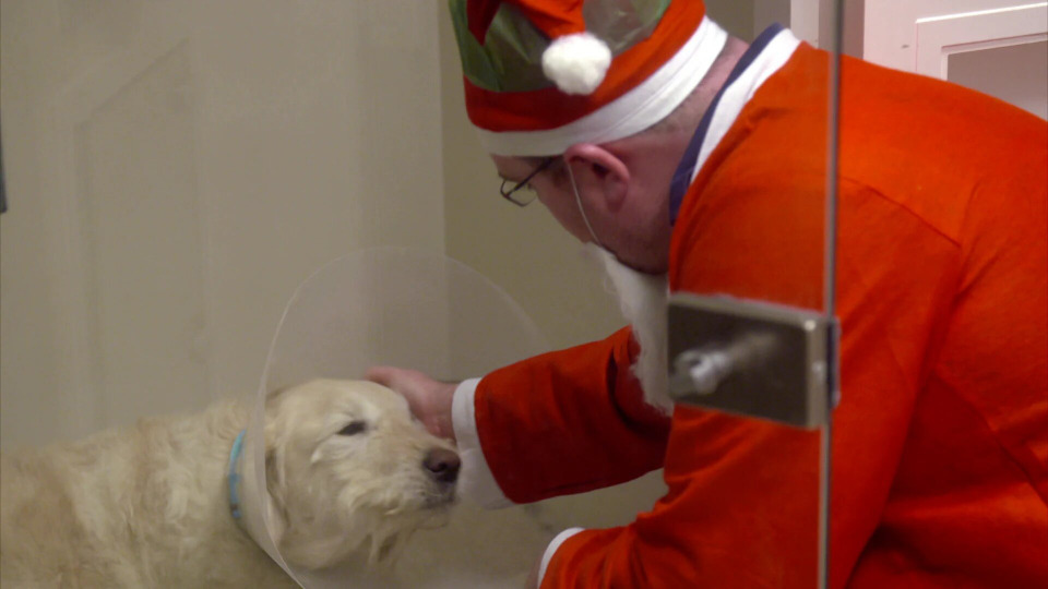 s07 special-1 — The Supervet at Christmas