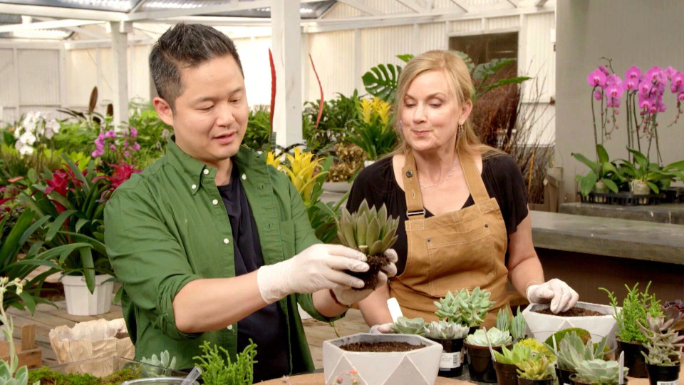 s02e01 — Succulents in the City