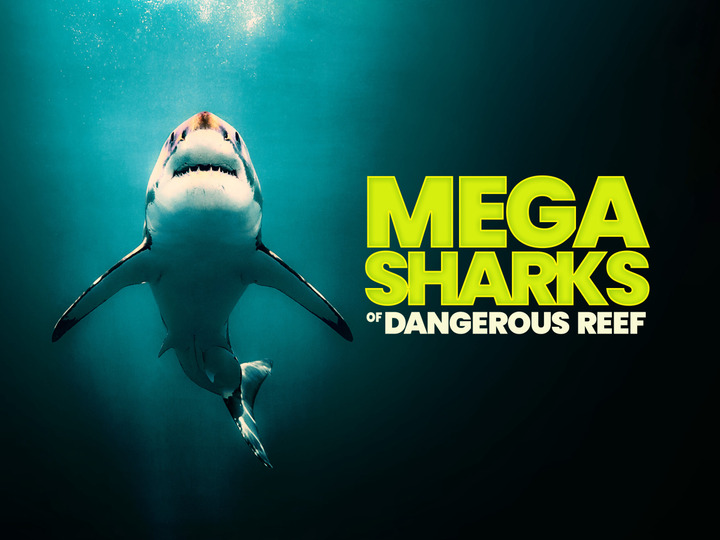 s2023e20 — Megasharks of Dangerous Reef