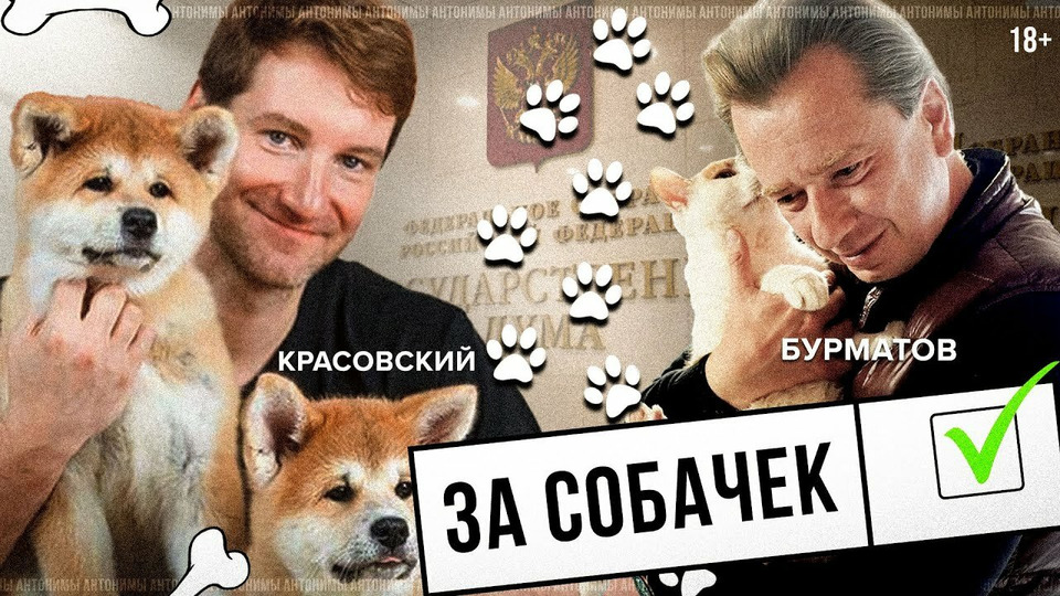 s02e12 — Депутат Владимир Бурматов: собачьи бои и "зелёные" законы