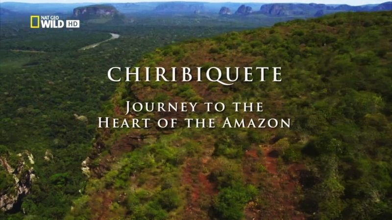 s01e03 — Chiribiquete: Journey to the Heart of the Amazon
