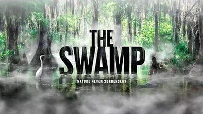 s31e01 — The Swamp