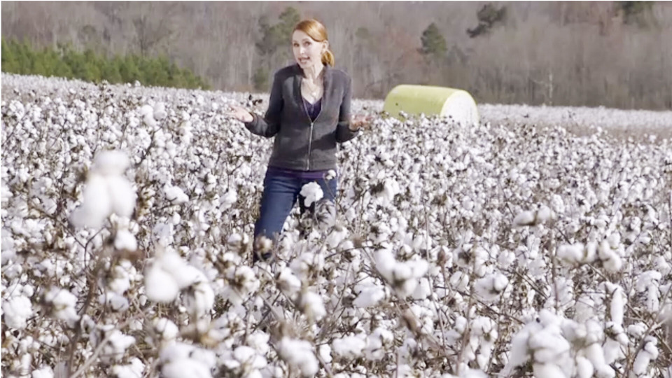 s01e04 — Sustainable Cotton