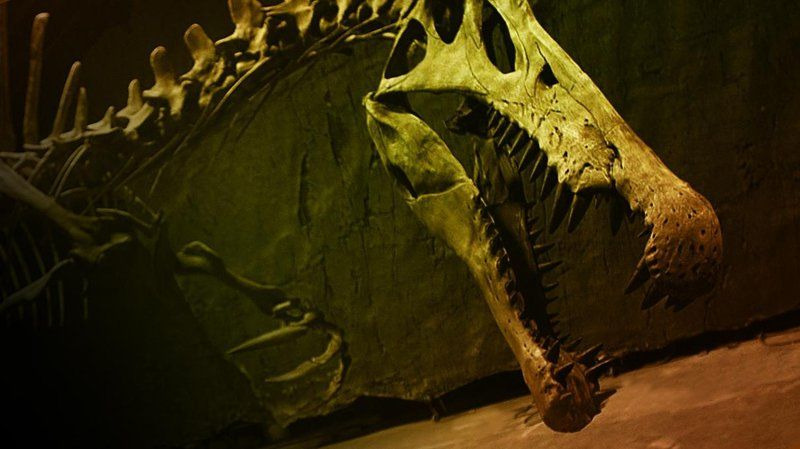 s42e07 — Bigger Than T. Rex