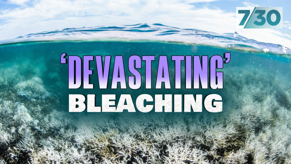 s2024e39 — 'Devastating' Bleaching