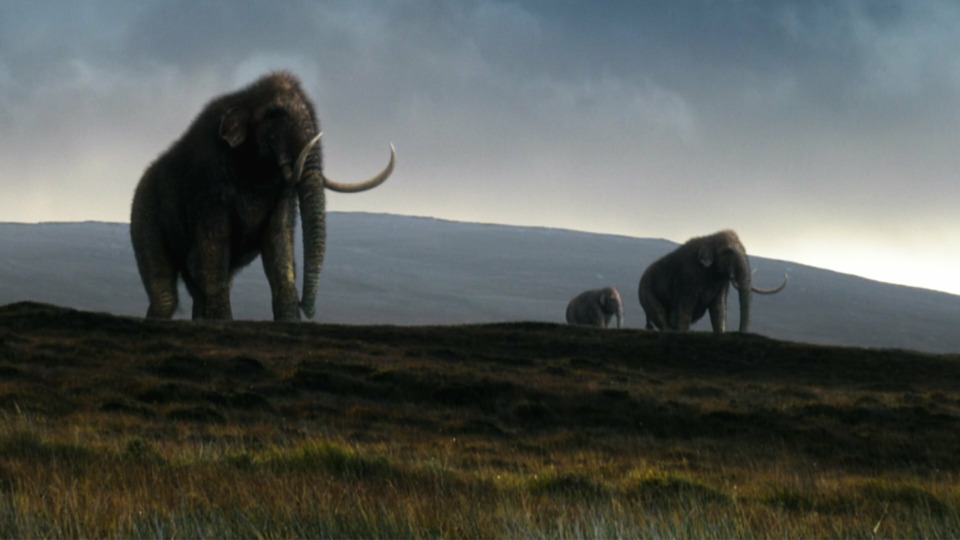 s49e07 — Great Mammoth Mystery