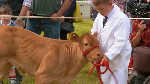 s33e35 — Manifold Valley Agricultural Show