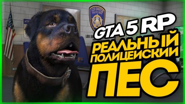 s10e142 — 1 День из Жизни Полицейской Собаки (Угар) ● GTA 5 RADMIR