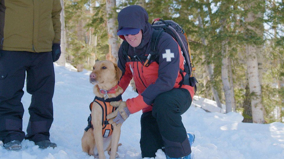 s01e09 — Avalanche Rescue Dogs & The Beagle Brigade