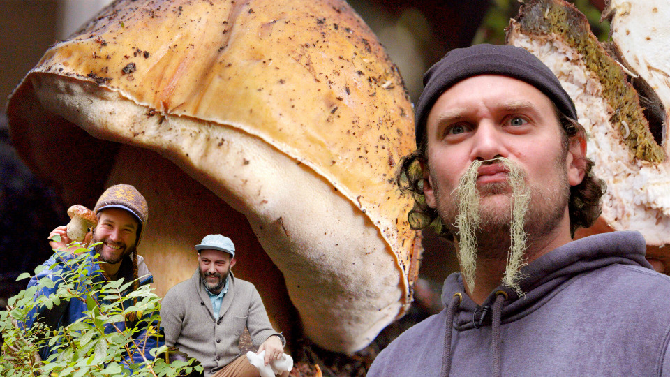 s03e03 — Brad Forages for Porcini Mushrooms