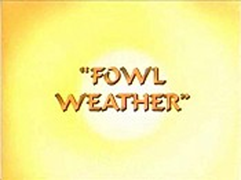 s01e17 — Fowl Weather