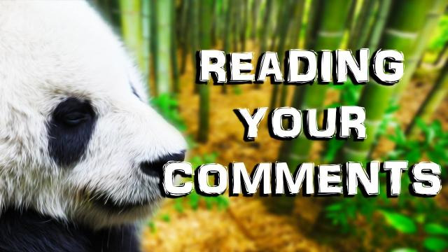 s03e455 — PANDA IS LOVE, PANDA IS LIFE | Reading Your Comments #31