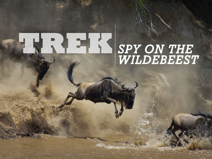 s01 special-18 — Trek: Spy on the Wildebeest. Part 2: «The Crossing»
