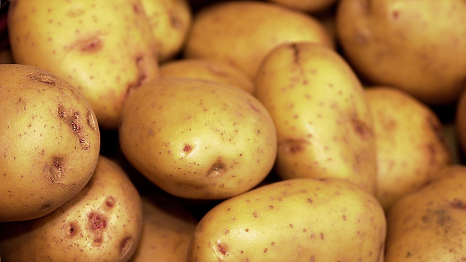 s02e07 — Addicted to Potatoes