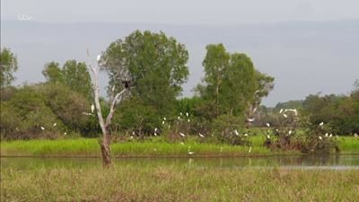 s01e02 — Kakadu Wetlands