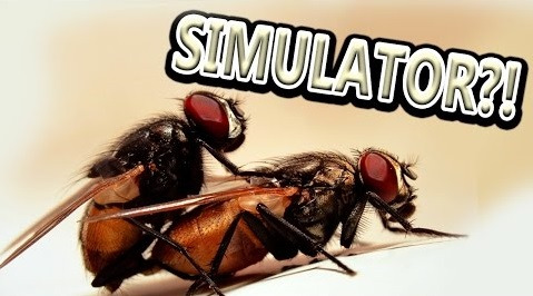 s07e104 — MAKE LOVE TO A FLY!? (Swap The Fly)