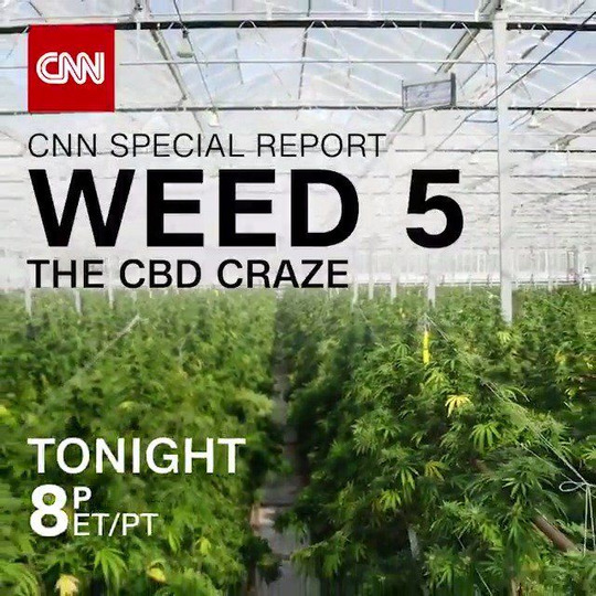 s2019e13 — Weed 5: The CBD Craze
