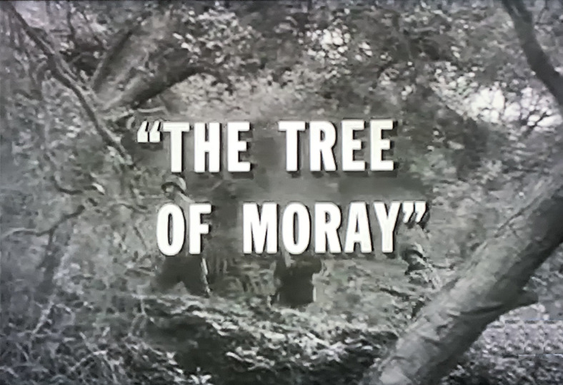 s03e26 — The Tree of Moray