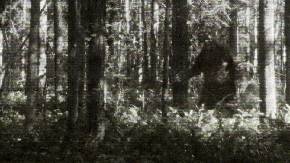 s02e22 — Chased by a Bigfoot and More