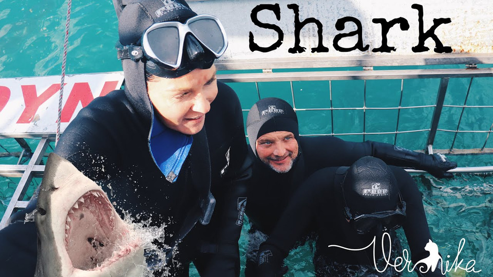 s11e24 — НАПАДЕНИЕ АКУЛ: Как я отбивалась от акулы