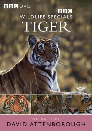 s01e08 — Tiger: The Elusive Princess