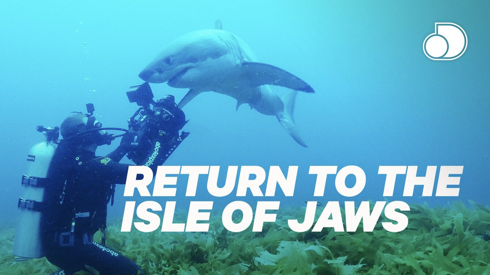 s2017e06 — Return to the Isle of Jaws