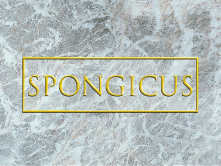 s06e05 — Spongicus