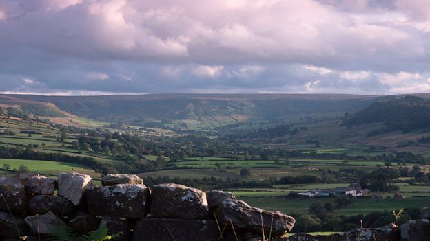 s01e03 — The Yorkshire Moors: A Wild Year