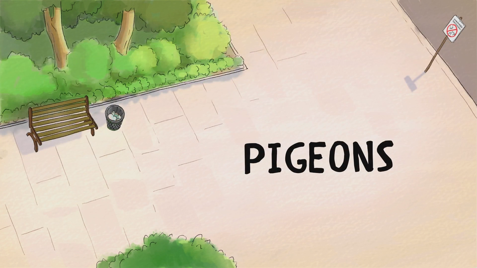 s03e34 — Pigeons