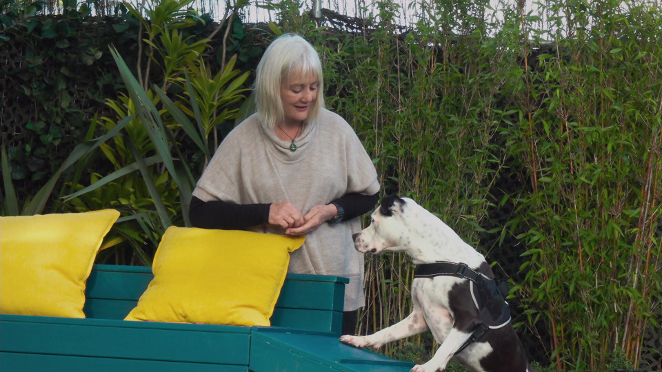 The Dog House NZ 1 сезон 4 серия Episode 4