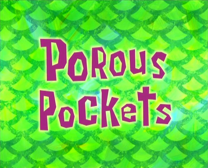 s06e22 — Porous Pockets